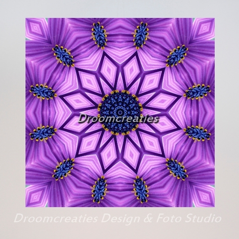 mandala_design_frostflower