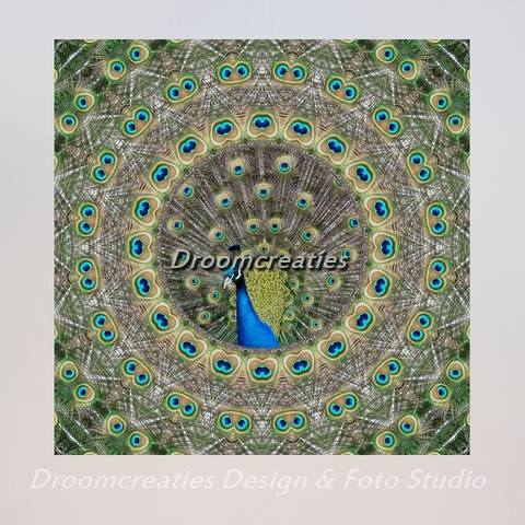 mandala_design_peacock