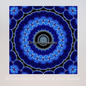 mandala_design_seashell