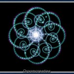 Fractal Compass