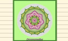 Mandala-Waterlily-NL